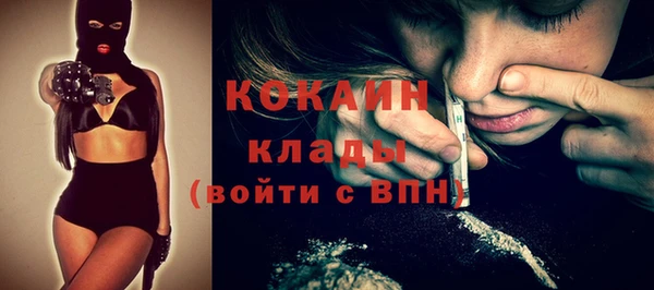 дживик Елизово