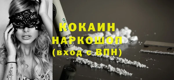 ECSTASY Ельня