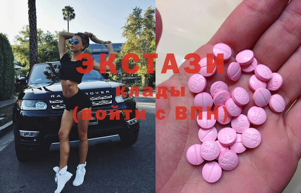 ECSTASY Ельня