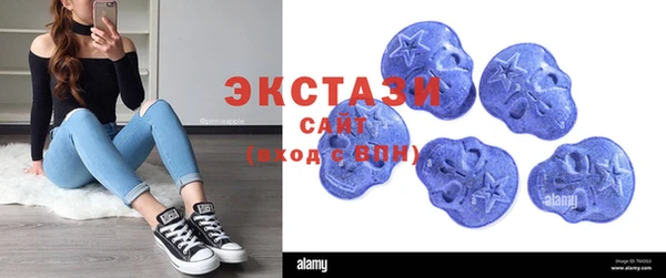 ECSTASY Ельня