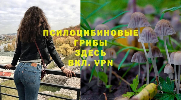 твердый Кодинск