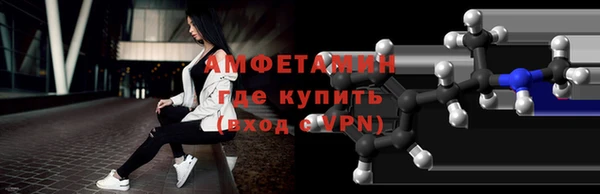 ECSTASY Ельня