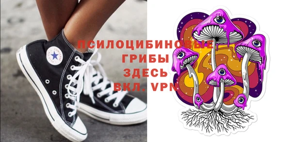 дживик Елизово
