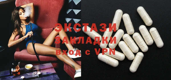 ECSTASY Ельня