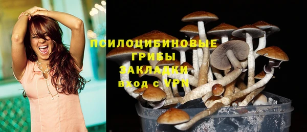 ECSTASY Ельня